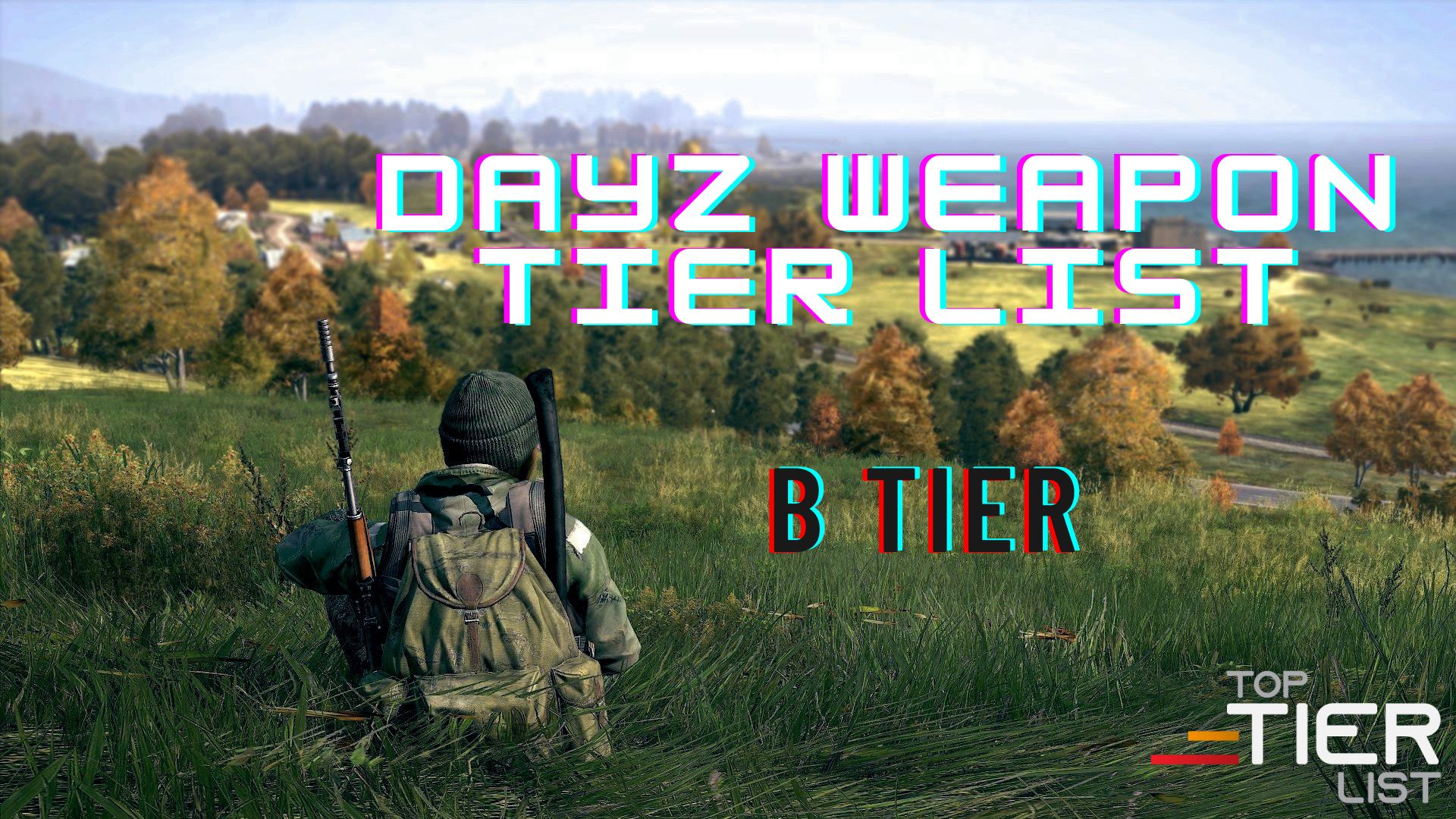 Decent weapons from DayZ